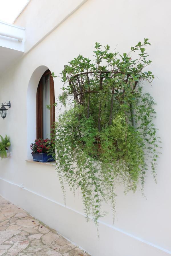 Villa Il Trullo Del Cadetto Francavilla Fontana Exterior foto
