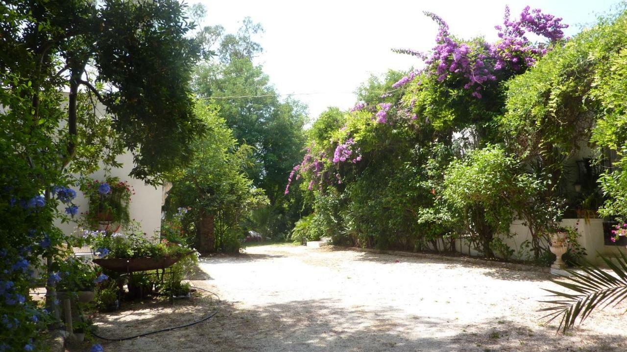 Villa Il Trullo Del Cadetto Francavilla Fontana Exterior foto