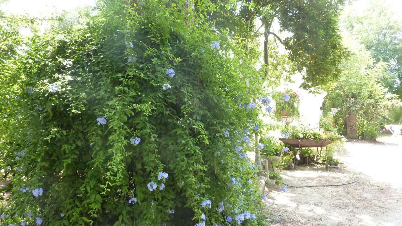 Villa Il Trullo Del Cadetto Francavilla Fontana Exterior foto