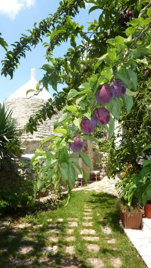 Villa Il Trullo Del Cadetto Francavilla Fontana Exterior foto